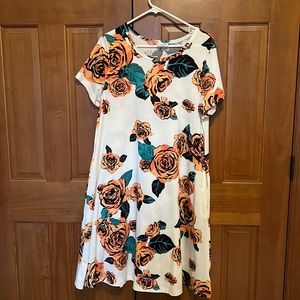 LuLaRoe Jessie swing dress